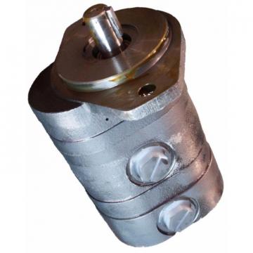 Case 152535A1 Hydraulic Final Drive Motor
